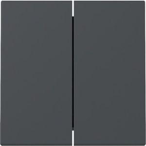 Gira schakelwip 2-voudig / Systeem 55 antraciet mat / 329528