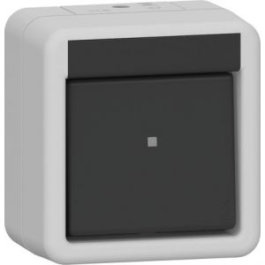 Gira schakelaar 2-polig compleet opbouw IP44 / 310230