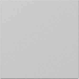 Gira schakelwip rechtstaand / Systeem 55 grijs mat / 3496015