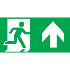 INTELIGHT 98007/OR6 PICTOGRAM PIJL BOVEN