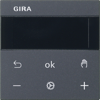 GIRA S3000 RTR DISP S55 ANTRA