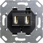 Gira | USB Wandcontactdoos 2-voudig USB-A | 235900