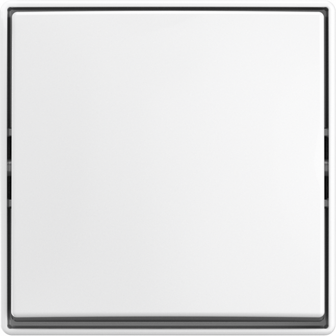 Busch-Jaeger | Wisselschakelaar | Opbouw wit | 2601/6 J-524 | 2TKA00005521