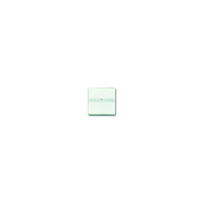 Busch-Jaeger | Schakelwip met tekstkader en lichtgeleider | Future linear mat wit | 1764 NLI-884