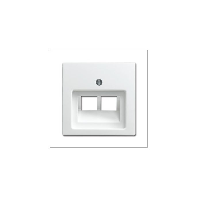 BUSCH-JAEG 1803-02-914 CPL DATADOOS 2XRJ45 SI-B