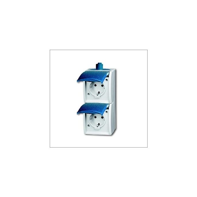 BUSCH-JAEG 20-02 EW-53-503 - Wandcontactdoos 2-voudig verticaal + randaarde