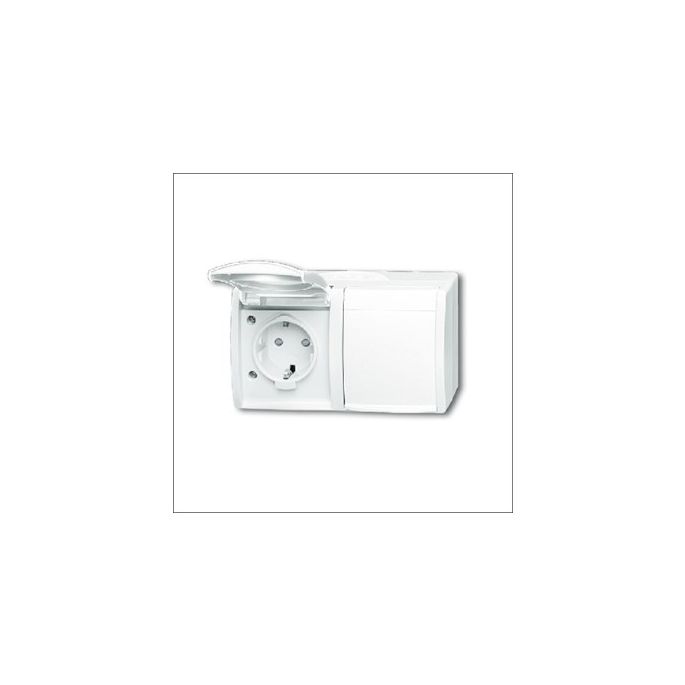 BUSCH-JAEG 20/2 EBW-54 - Wandcontactdoos 2-voudig horizontaal + randaarde en kinderbeveiliging