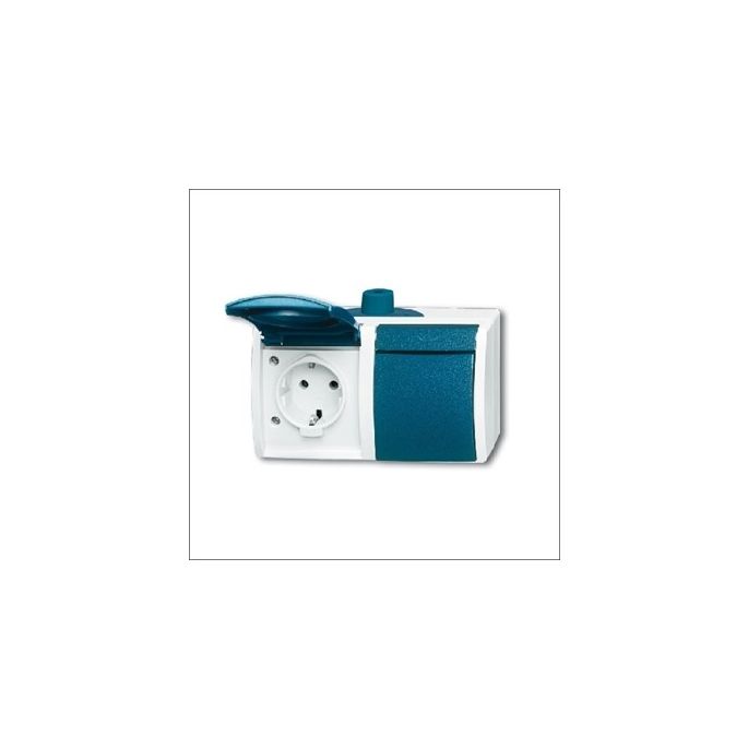 BUSCH-JAEG 20/2 EW-53-503 - Wandcontactdoos 2-voudig horizontaal + randaarde