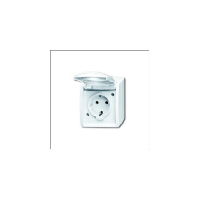 BUSCH-JAEG 20 EW-54 - Wandcontactdoos 1-voudig + randaarde