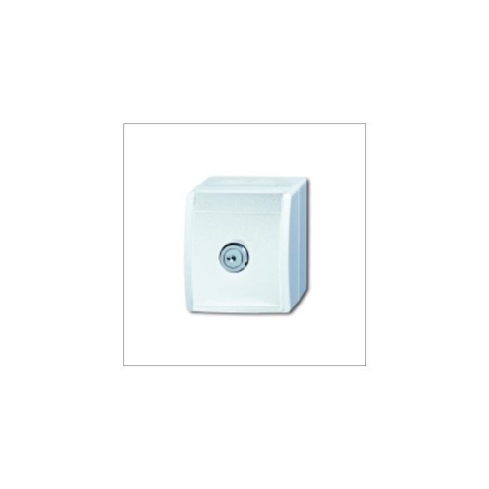 BUSCH-JAEG 20 EWSL-54 - Wandcontactdoos 1-voudig + randaarde en veiligheidsslot