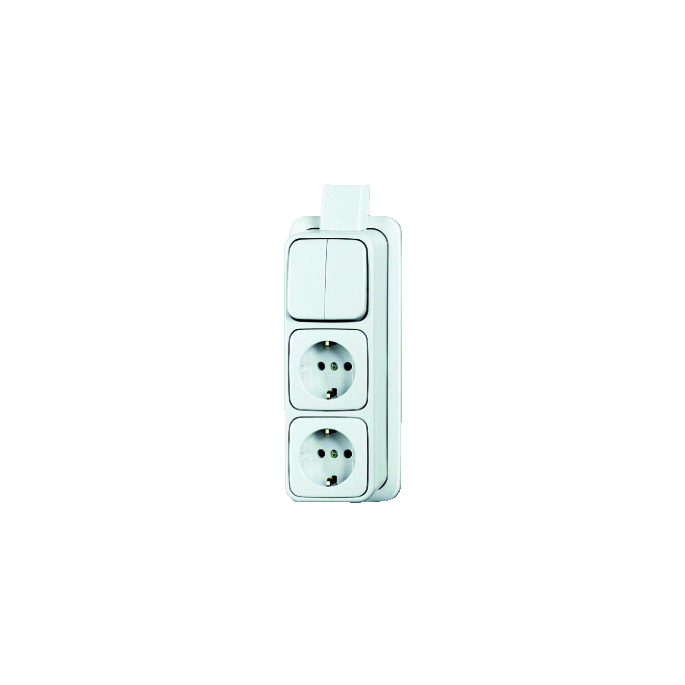 BUSCH-JAEG 2601-5-2300-2EAPJW COMBINATIE RA 3V SERIE+PLAAT O