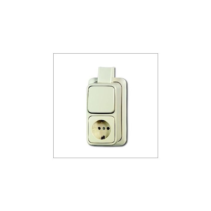 BUSCH-JAEG 2601/6/2300 EAPJW COMBINATIE RA WIS +PLAAT OPB A