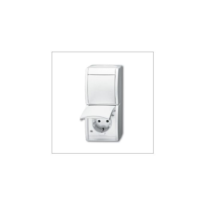 BUSCH-JAEG 2601/6/20 EW-54 - Combinatie wisselschakelaar en wandcontactdoos + randaarde