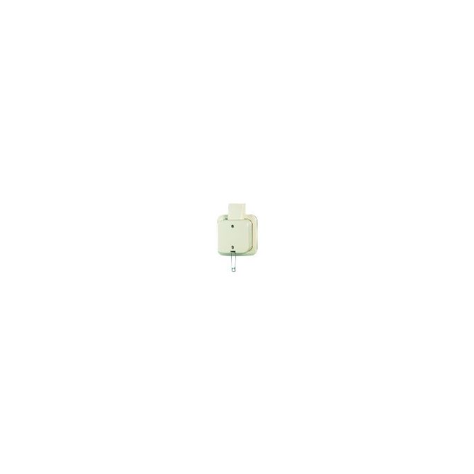 Busch-Jaeger | Trekschakelaar wissel | Opbouw Crème | 2610/6 APJ