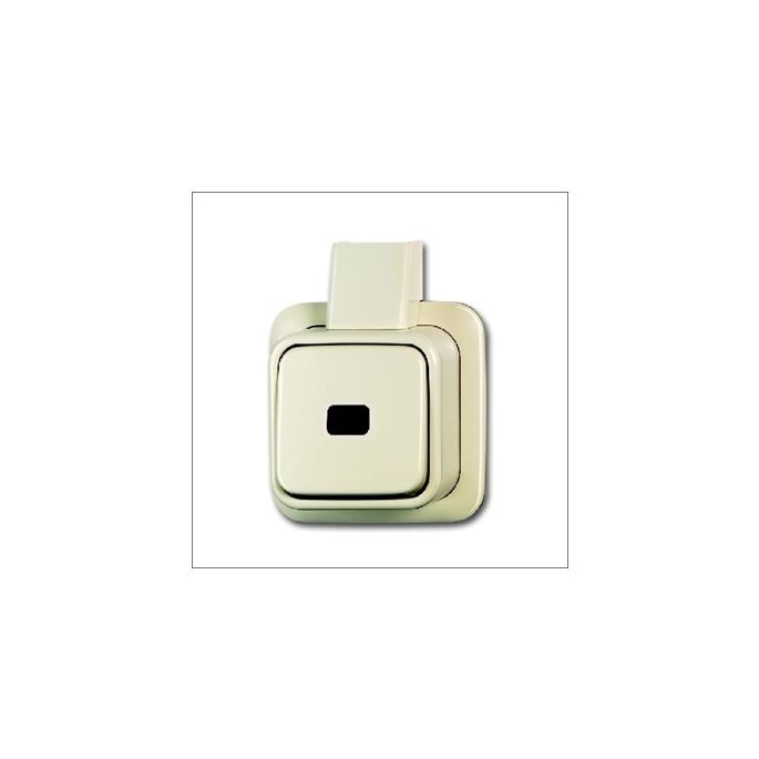 BUSCH-JAEG 2621 APJ PULSDR OPB 1P MAAK+PLAAT CR