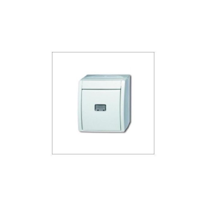 BUSCH-JAEG 2621 W-54-206 - Pulsdrukker met wisselcontact
