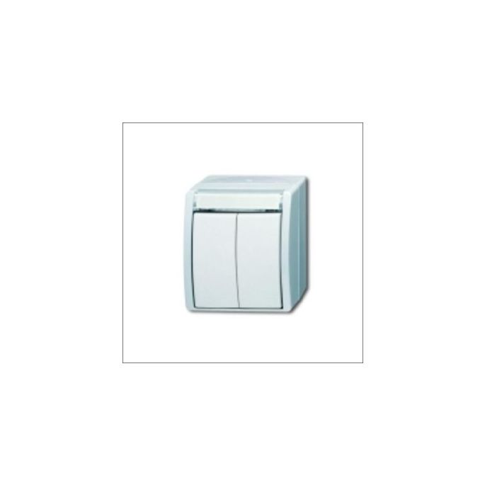 BUSCH-JAEG 2621 WN-54-205-101 - Pulsdrukker dubbel met maakcontact