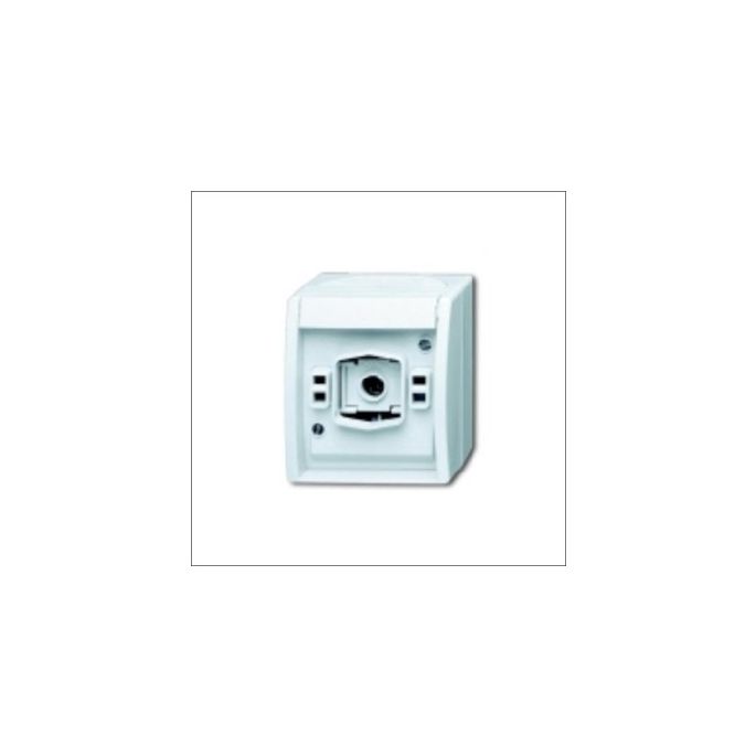 BUSCH-JAEG 2661 W-54 LICHTSIGN E10 OPB IP44 WT OCEA