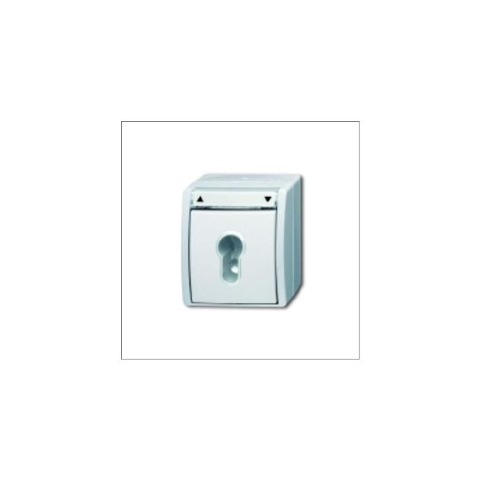 BUSCH-JAEG 2712 SLW-54 - Tweepolige (sleutel) jaloezieschakelaar