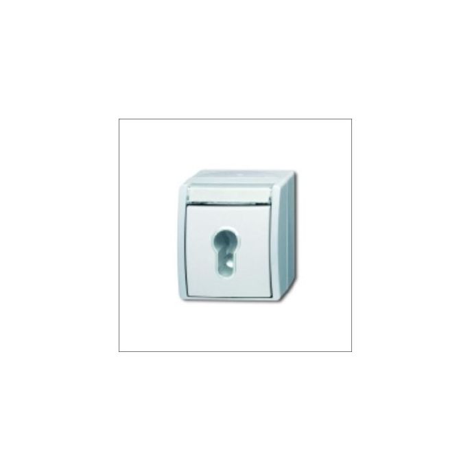 BUSCH-JAEG 2733 SLW-54 - Tweepolige (sleutel) wisselschakelaar