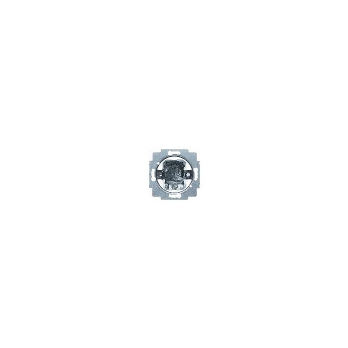 BUSCH-JAEG 2733 USL-101 SLEUTELSCHAK 1P INB SCHROEF