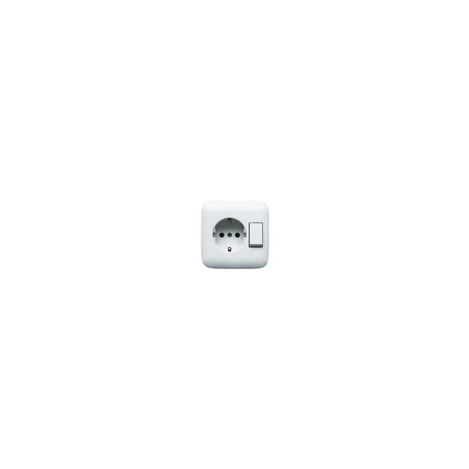 BUSCH-JAEG 4310/6 EUJ-214 COMB RA INB WISS/WCD VPL