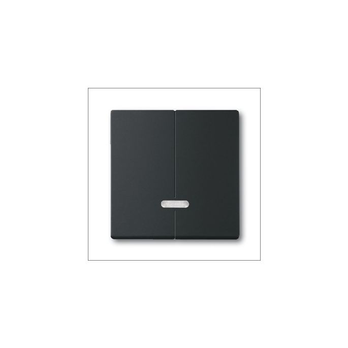 BUSCH-JAEG 6545-885 TOETS SERIEDIM 6565U F-MATZW