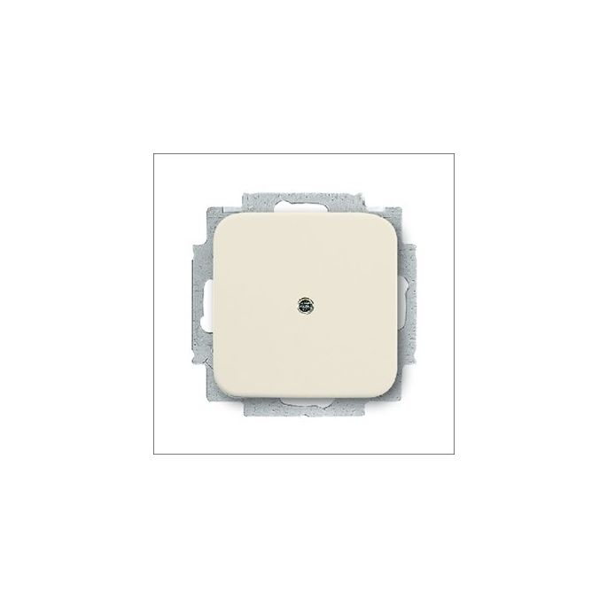 busch-jaeg_2538-212_cpl_blind_met_draagraam_si.jpg