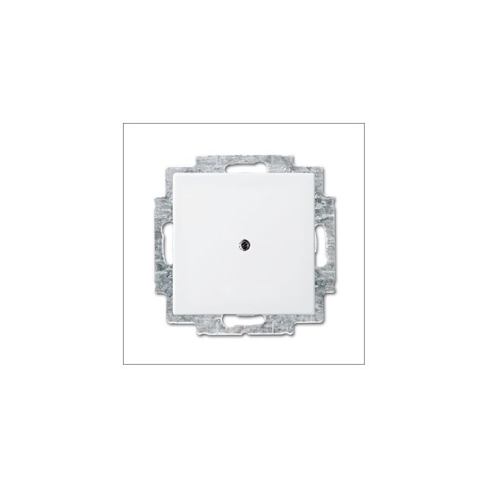 busch-jaeg_2538-914_cpl_blind_draagraam_si-b_1.jpg