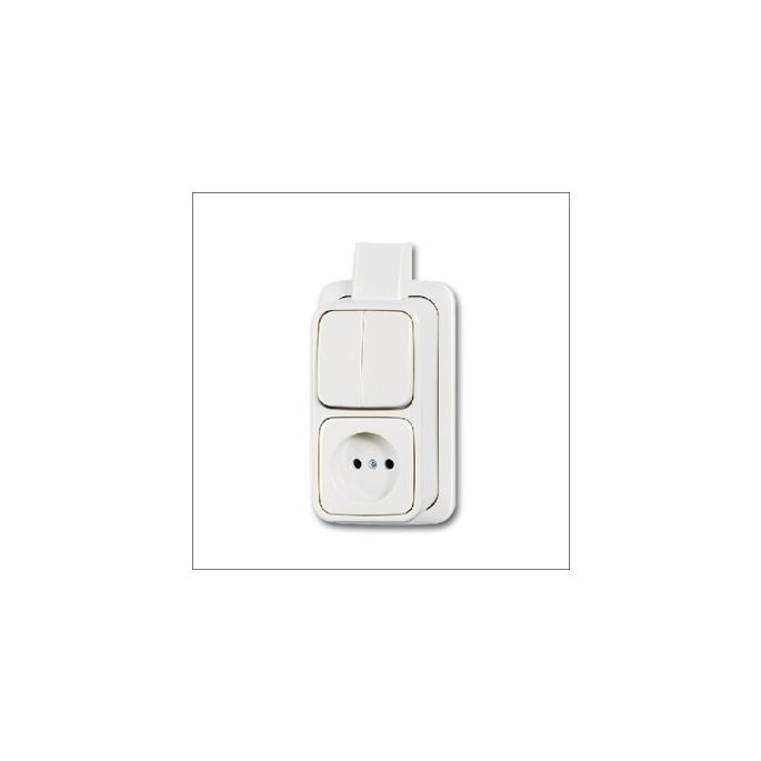 busch-jaeg_2601_5_2300_apjw_combinatie_serie_plaat_opb_a.jpg