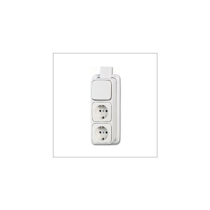 busch-jaeg_2601_6_2300_2eapjw_combinatie_ra_3v_wis_plaat_op.jpg