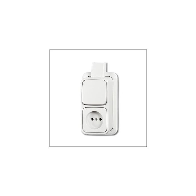 busch-jaeg_2601_6_2300_apjw_combinatie_wis_plaat_opb_ap_a.jpg