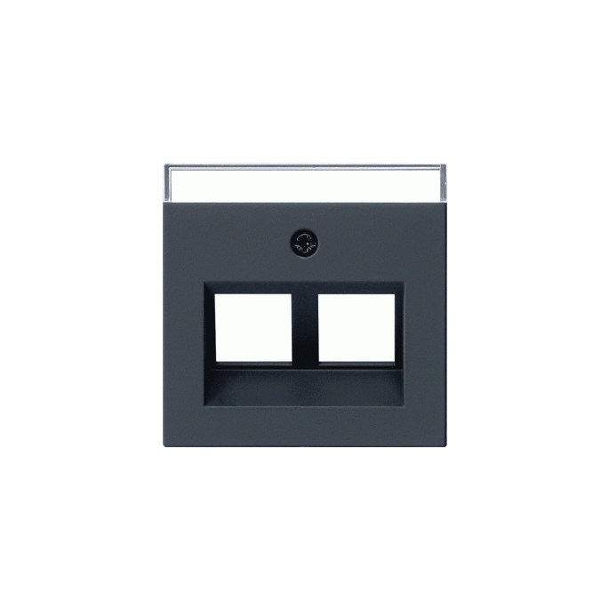 Gira | inzetplaat 2 x modular-jack | Systeem 55 ZMT | 2640005