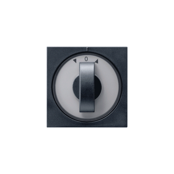gira_afd_drknop_sch_sys55_zmt.gif
