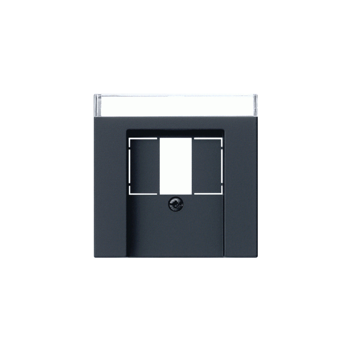 GIRA AFD TK TAE USB 55 ZMT