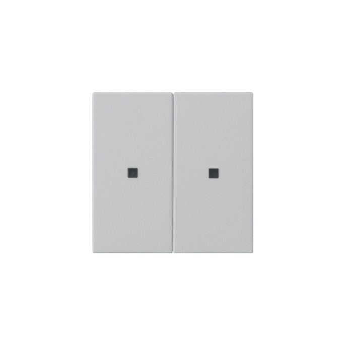 GIRA BEDELEM 2-V S55 GR
