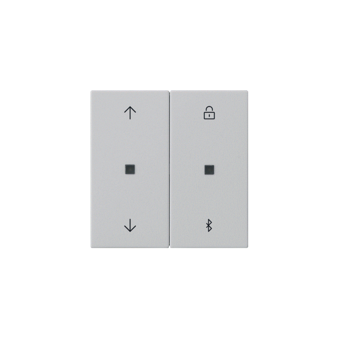 GIRA BEDELEM KLOK BT S55 GR