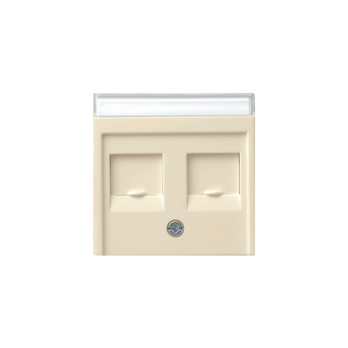 Gira | inzetplaat 2 x modular-jack | standaard 55 CWG | 066301