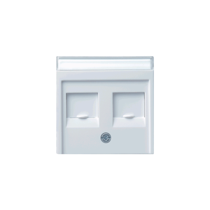 Gira | inzetplaat 2 x modular-jack | standaard 55 ZWG | 066303