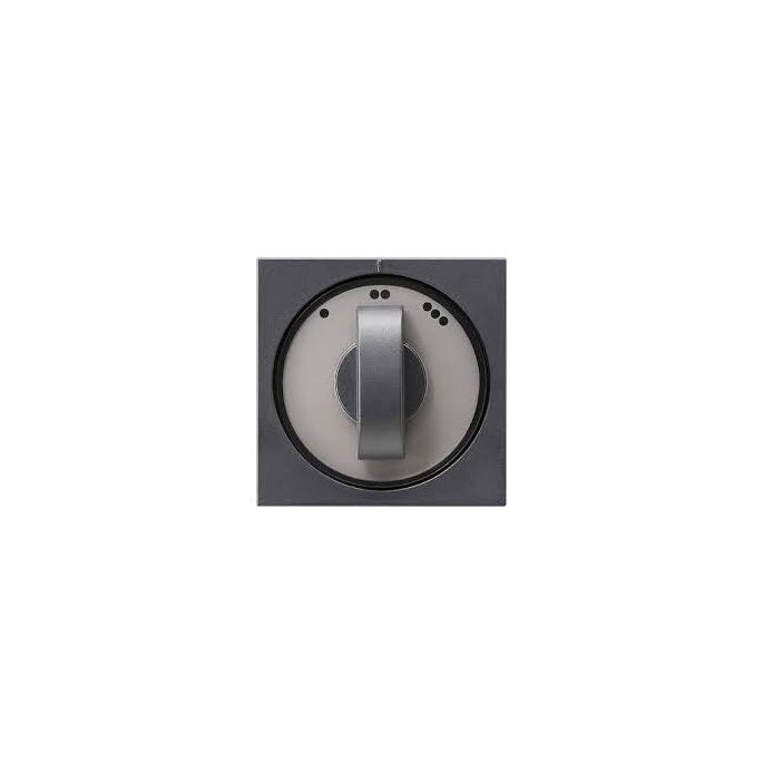 gira_inzpl_knop_stschak_ant_55.jpg