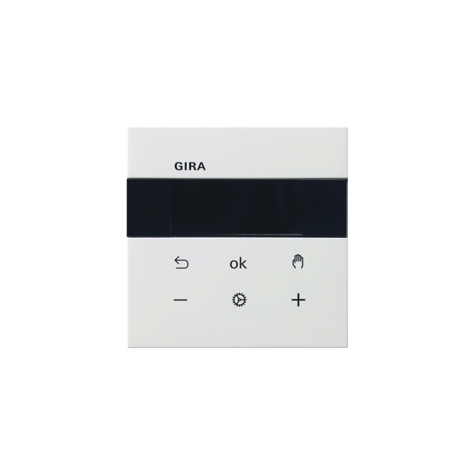 GIRA S3000 RTR DISP F100 Z.WIT