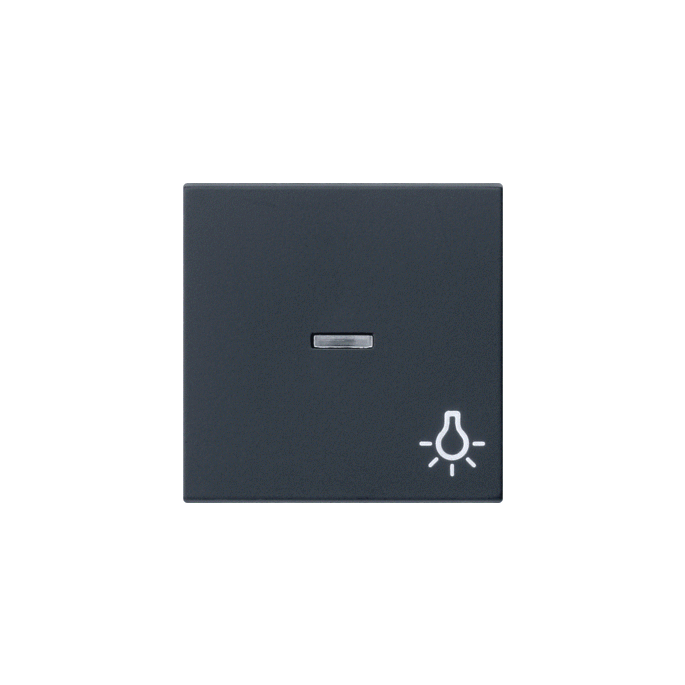 GIRA WIP CTRL LICHT SYS55 ZMT
