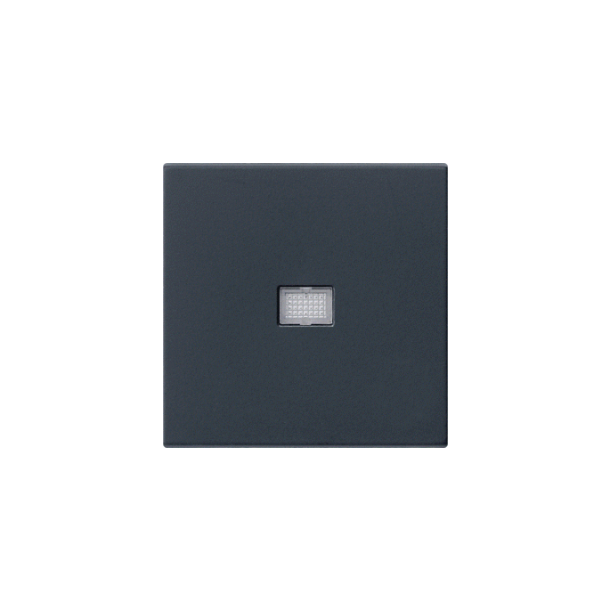 GIRA WIP CTRL V SYS55 ZMT