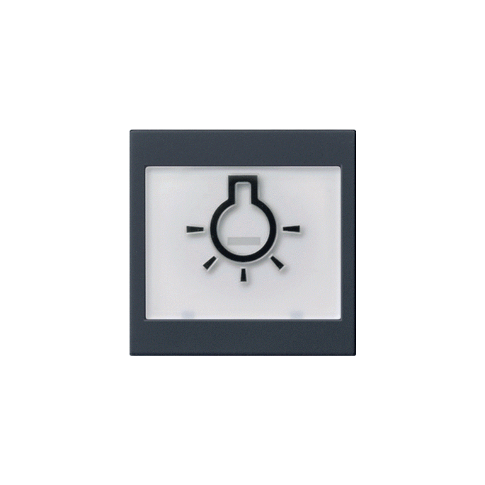 gira_wip_tk_licht_sys55_zmt.gif