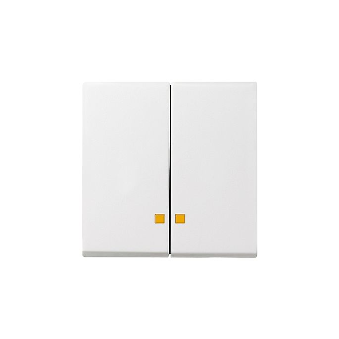 Gira | Schakelwip met tweedelig controlevenster | Systeem 55 ZWM