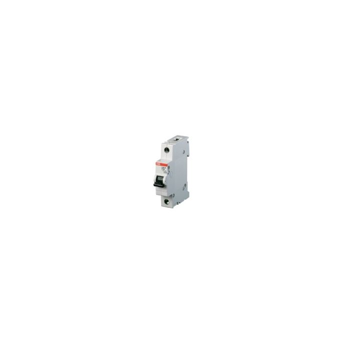 ABB S 201M C63 10 KA AUTOMAAT 1 POLIG C KAR 6