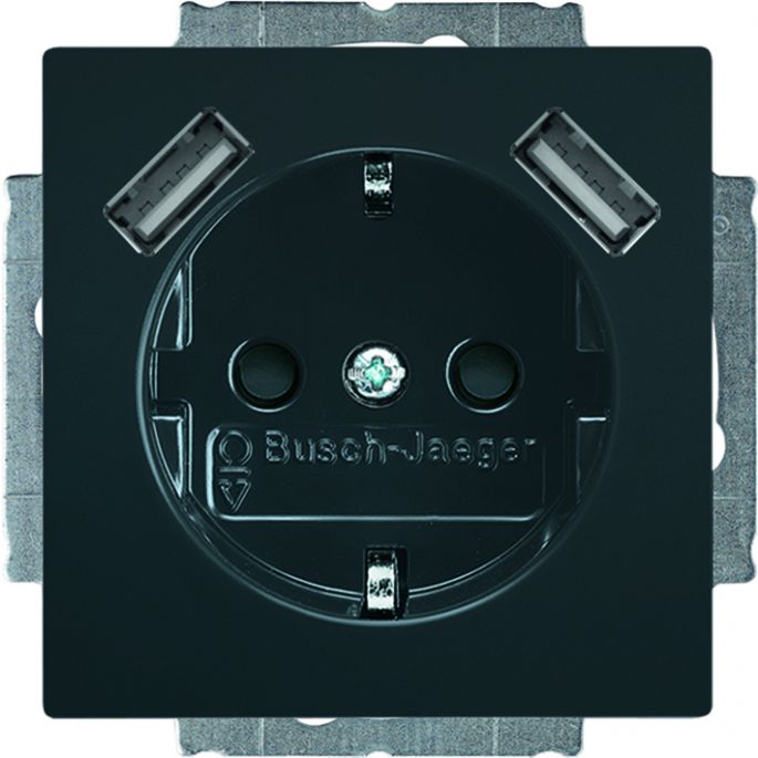 ABB BUSCH- 20 EUCB2USB-81 WCD RA KV + 2XUSB-A F-ANTR