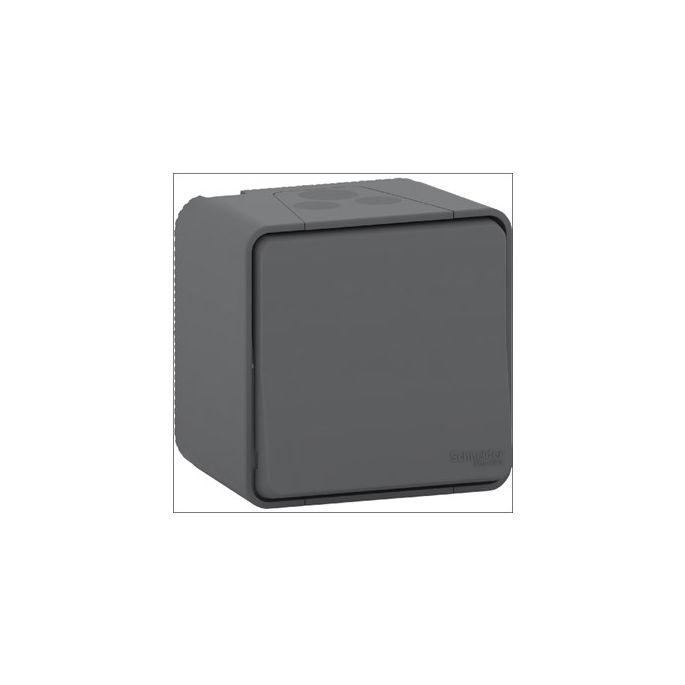 SCHNEIDER MUR35026 PULSSCHAKELAAR MUREVA STYL GRI