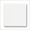 Busch-Jaeger | Schakelwip 1-voudig | Future Linear Mat Wit | 1786-884