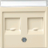 Gira | inzetplaat 2 x modular-jack | standaard 55 CWG | 066301